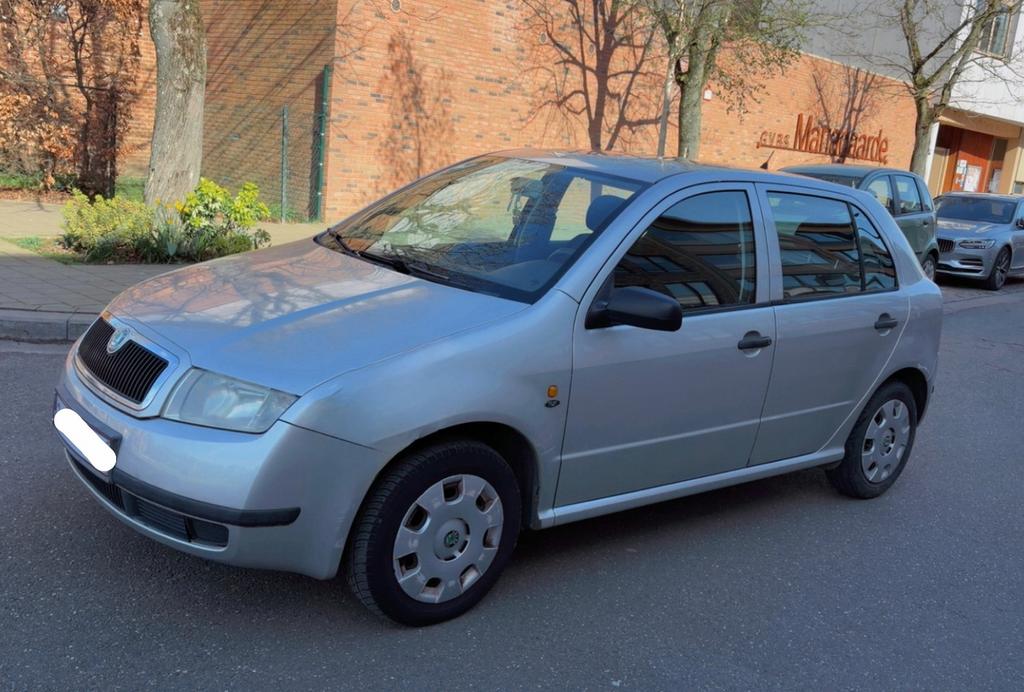 SKODA FABIA, Auto's, 4 deurs, Particulier, Euro 4, Zilver of Grijs