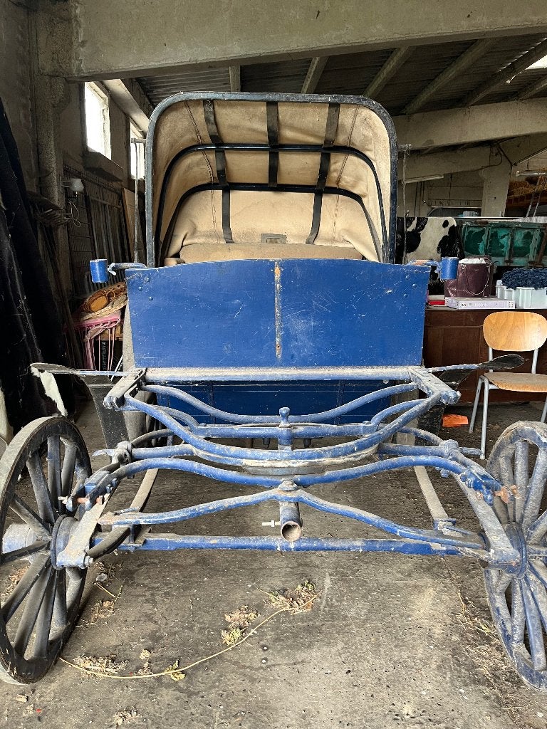 Calèche, Utilisé, Cheval