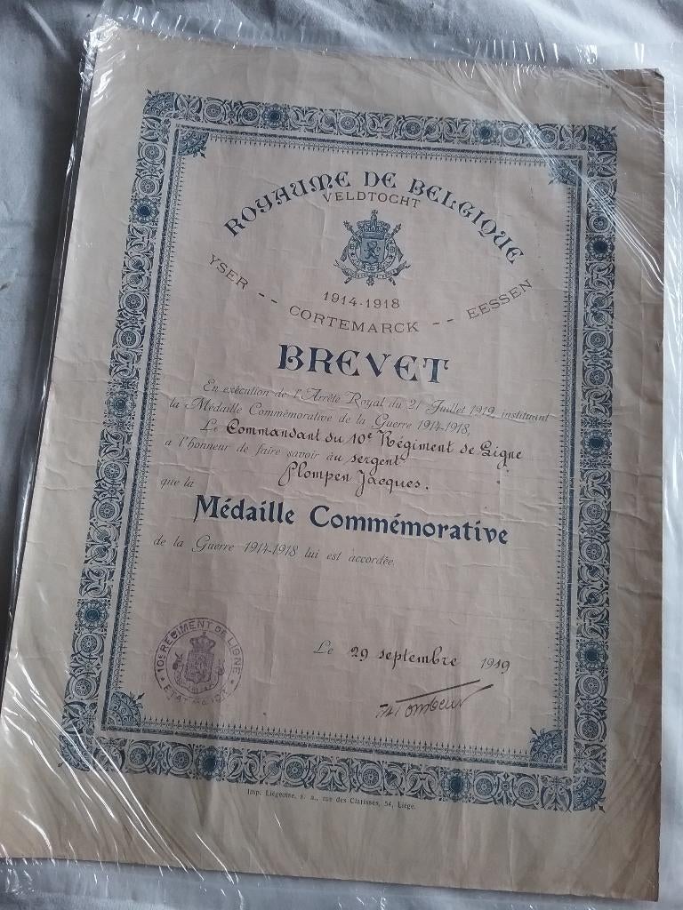 Brevet 1914 - 1918 - Campagne de l'Yser, Collections, Enlèvement ou Envoi, Armée de terre, Ruban, Médaille ou Ailes