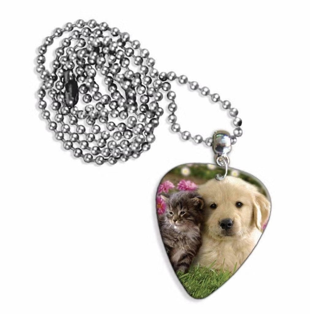 Plectrum ketting of sleutelhanger van een puppy en kitten, Verzamelen, Ophalen of Verzenden, Nieuw