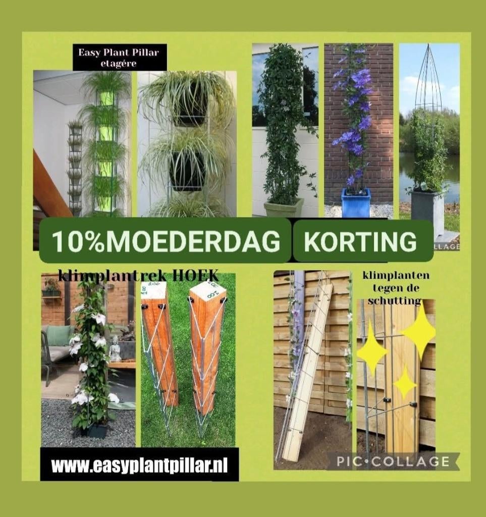 Draadzuilen Plantzuilen Klimrekken draadrek tuinrekken, Ophalen of Verzenden, Nieuw