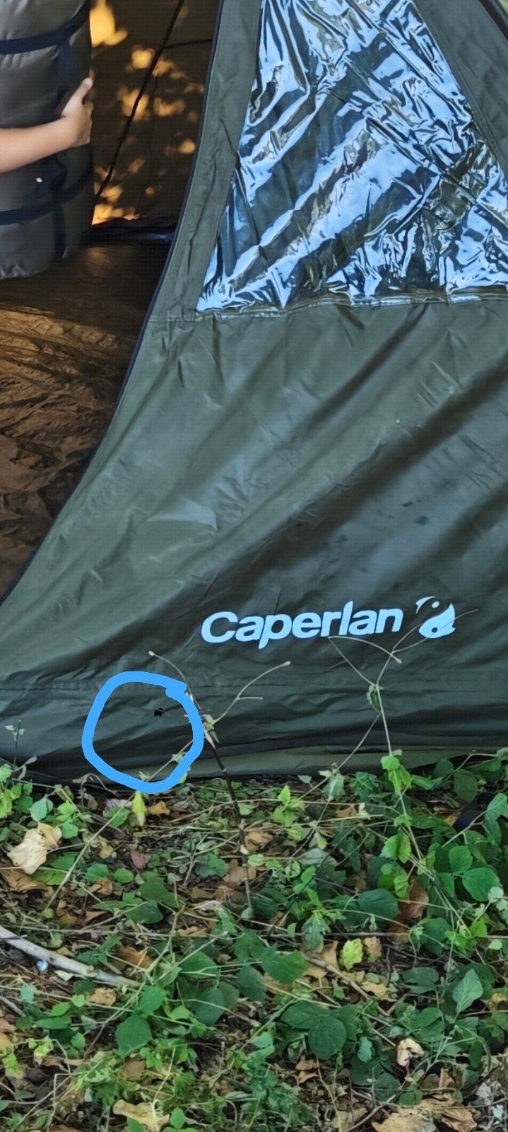 Bivvy carpiste Caperlan Tanker Frontview – 1ère génération –, Caravanes & Camping, Tentes, Enlèvement ou Envoi