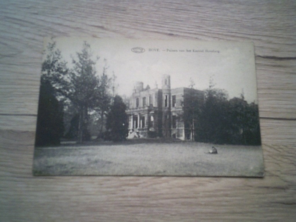 HOVE: Puinen van het Kasteel "Hoveberg", Ophalen of Verzenden, Voor 1920, Ongelopen, Antwerpen