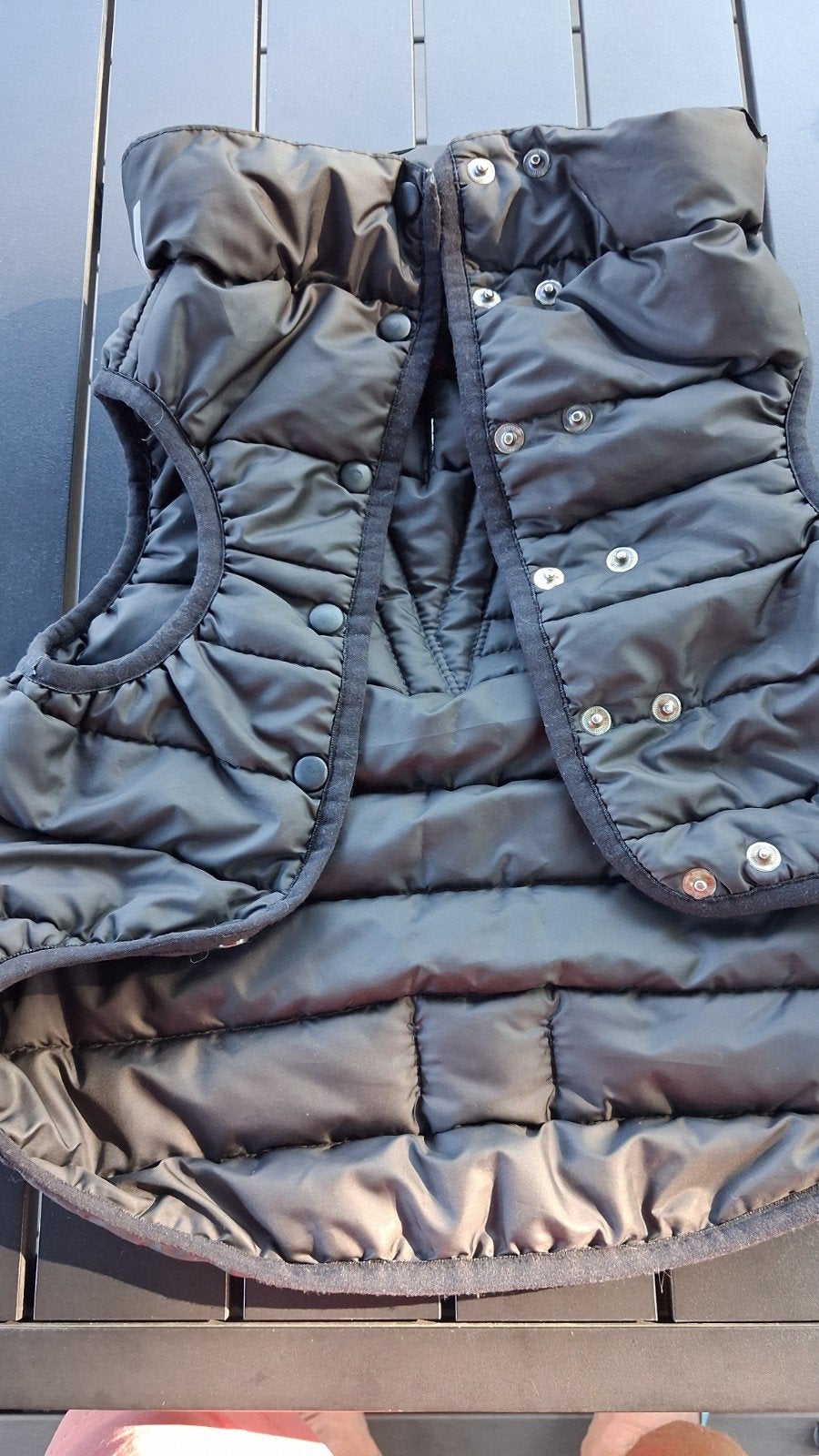 Blouson pour chien., Enlèvement, Imperméable, L