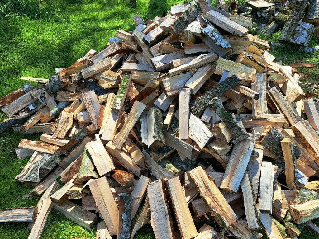 Brandhout berk, 6 m³ ou plus, Enlèvement, Bouleau, Bûches