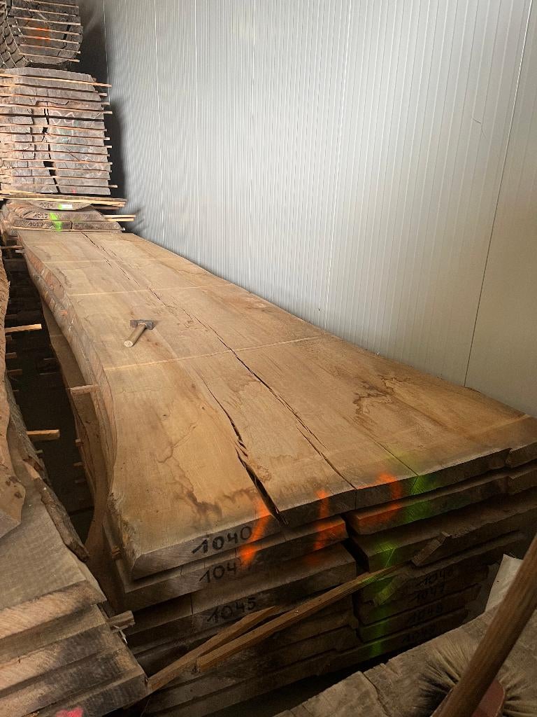 unieke Rode beuken boomstambladen uit plantentuin van Meise, Doe-het-zelf en Bouw, Ophalen, Nieuw, Plank, Beuken