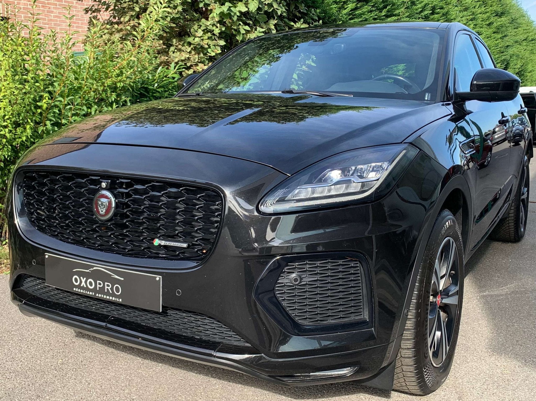 Jaguar E-Pace D165 AWD R-Dynamic MHEV / FACELIFT / NEW MODÈ, Cuir, Achat, Euro 6, Entreprise