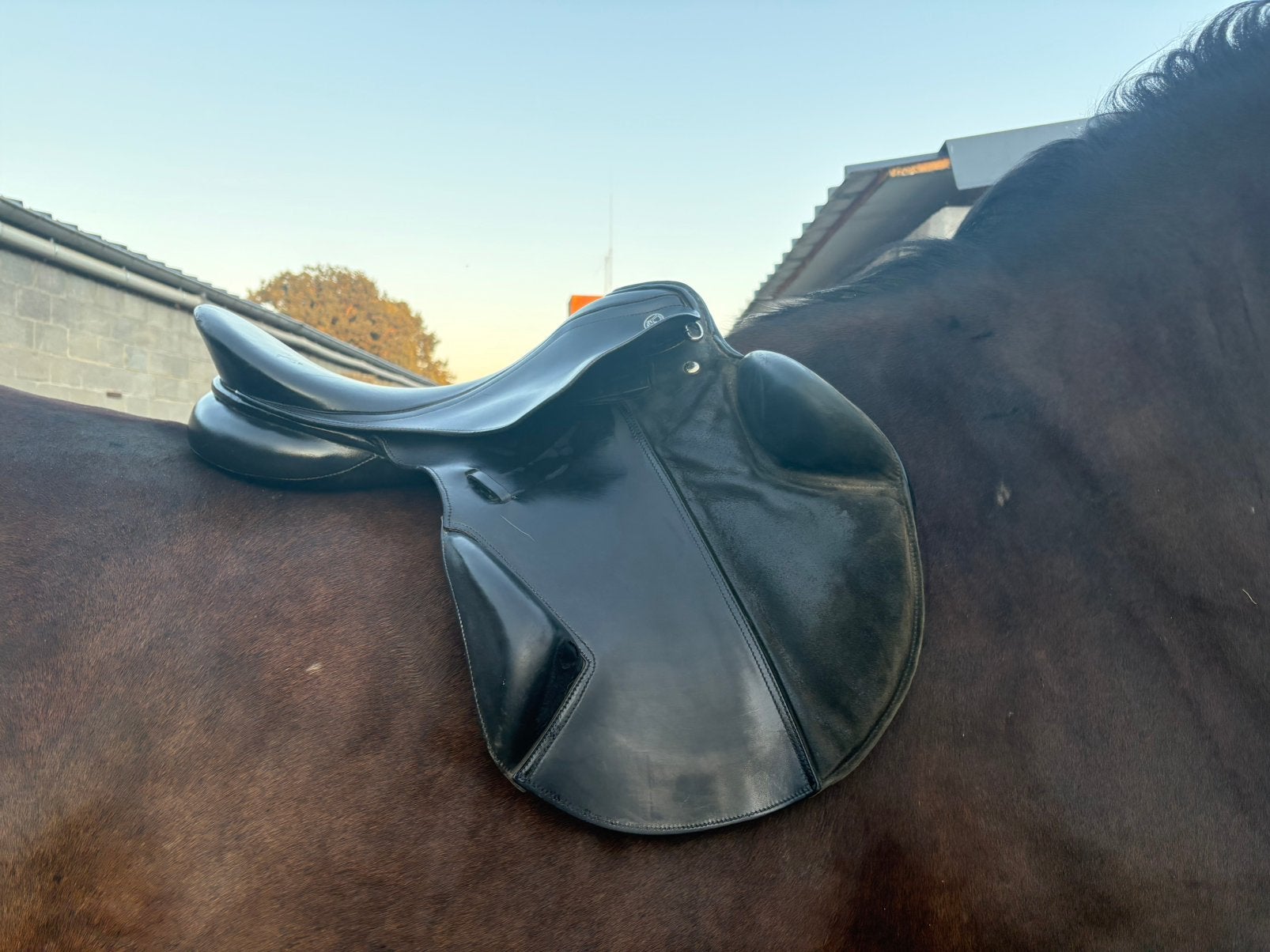 Selle Kieffer noire 18 pouces, Animaux & Accessoires, Chevaux & Poneys | Selles, Siège semi-creux, Obstacle, Taquets de genoux