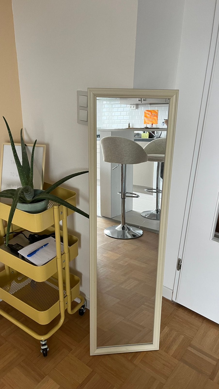 (Deur)spiegel, Huis en Inrichting, Woonaccessoires | Spiegels, Ophalen, Zo goed als nieuw