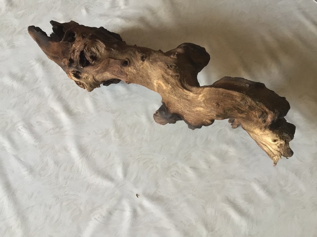 Décoration en bois dur : terrarium, aquarium, reptiles, amph, Animaux & Accessoires, Enlèvement ou Envoi