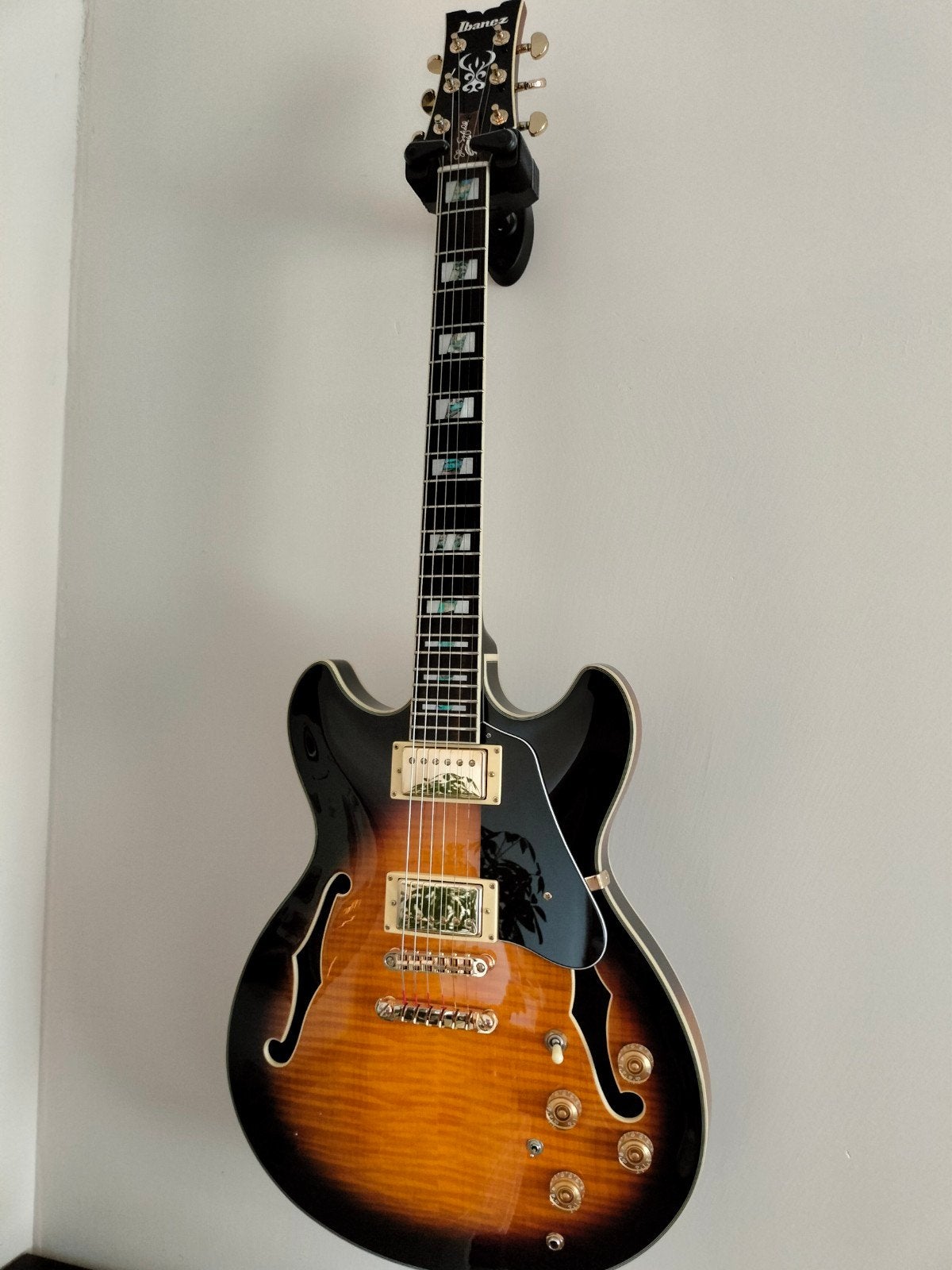 Ibanez jsm10 John Scofield, Musique & Instruments, Instruments à corde | Guitares | Électriques, Enlèvement, Hollow body, Fender