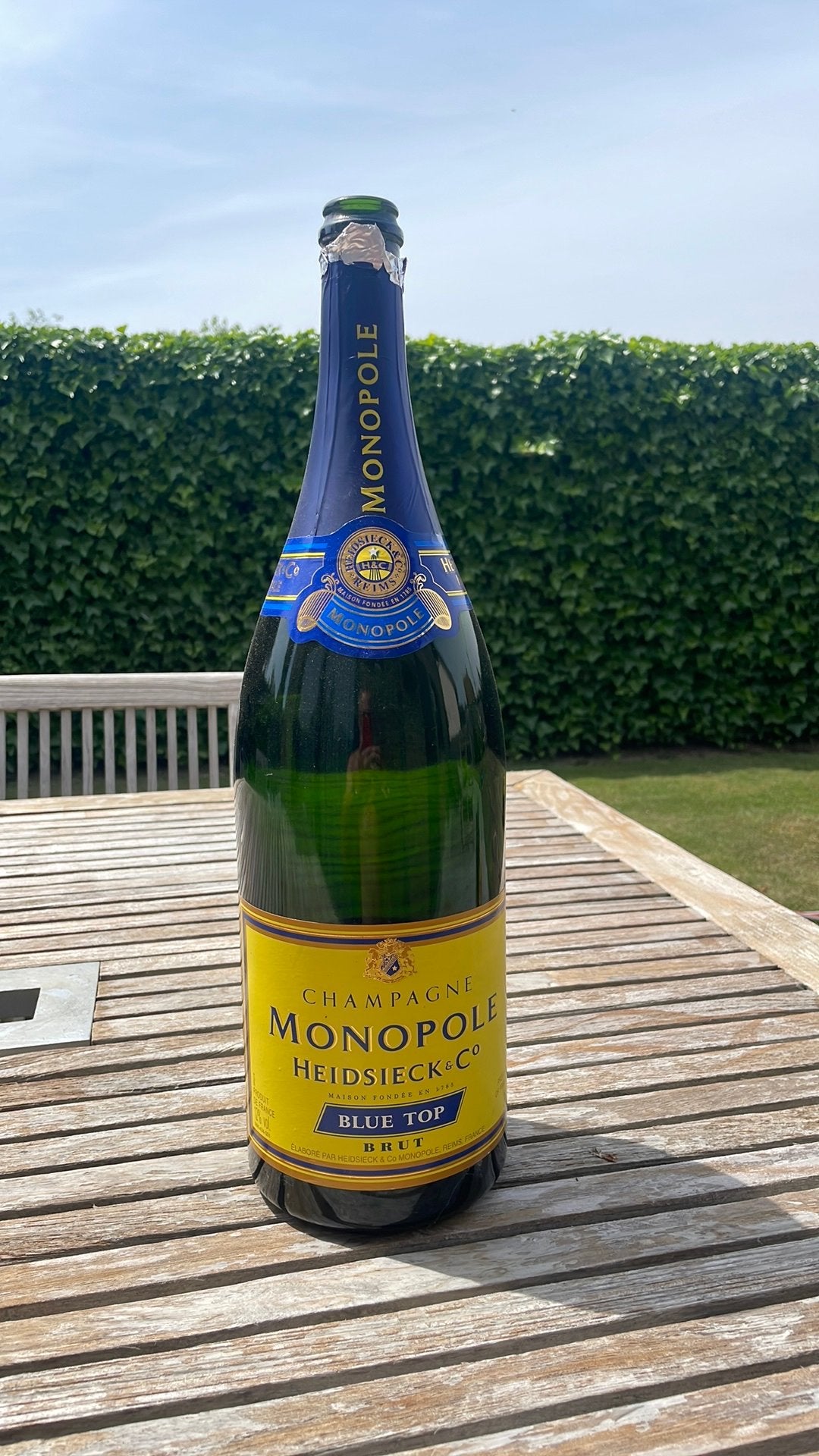 LEGE champagne fles 3 liter, Ophalen, Gebruikt, Champagne