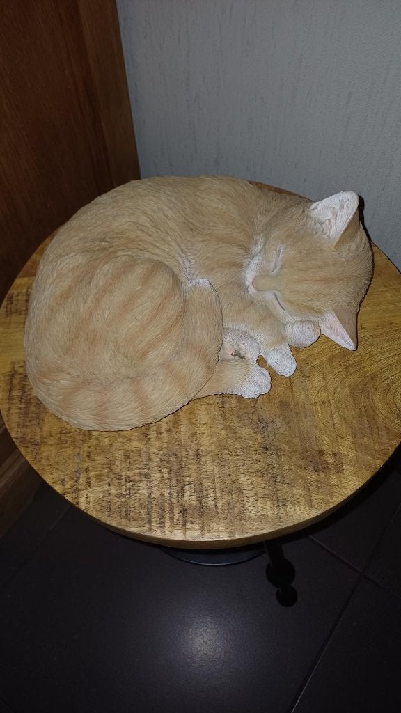katten beeld, Ophalen, Zo goed als nieuw, Dier