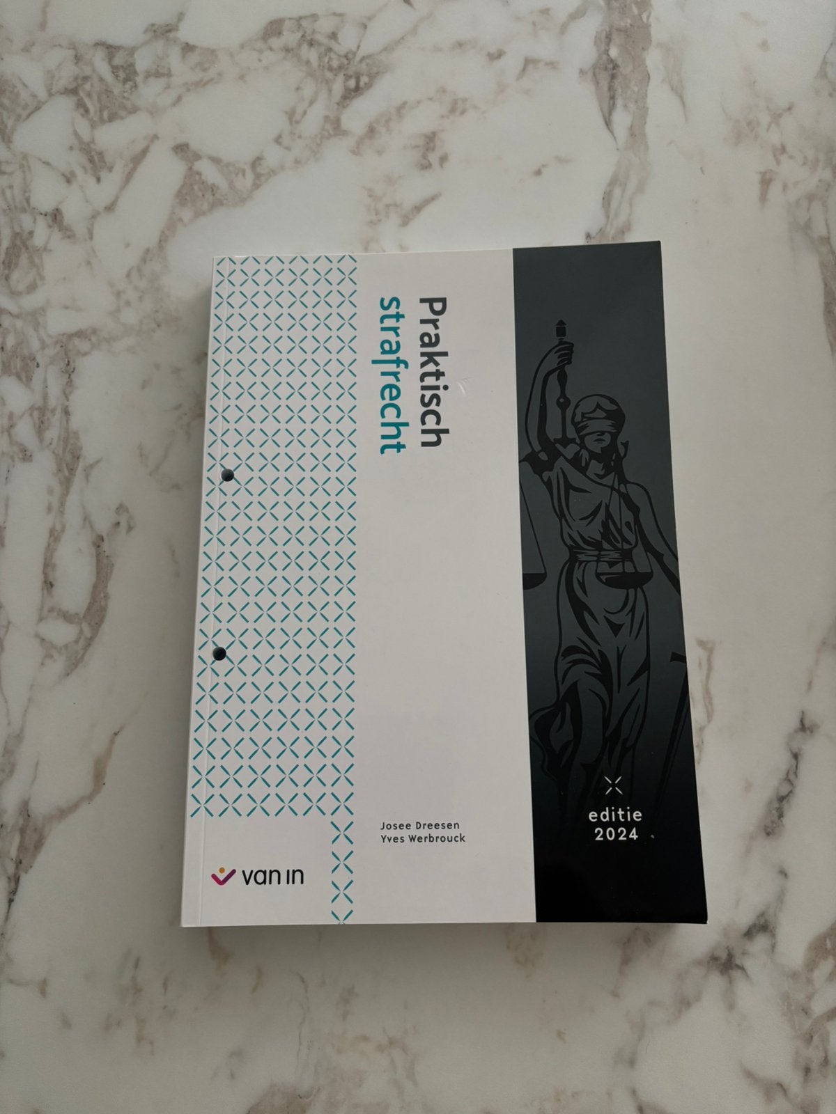 Boek praktisch strafrecht, bachelor rechtspraktijk, Boeken, Ophalen of Verzenden, Zo goed als nieuw