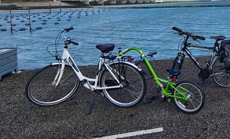 Aanhangfiets Burley Piccolo Groen 7 Speed, Fietsen en Brommers, Ophalen, Zo goed als nieuw