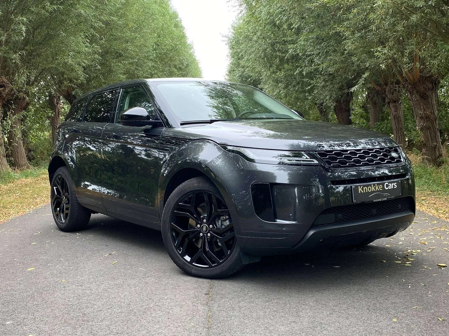 Land Rover Range Rover Evoque VERWACHT P300E Plug in Hybrid,, Auto's, Automaat, Euro 6, 300 pk, https://public.car-pass.be/vhr/84b98fda-f94a-4c2e-a3f3-9abd80675667