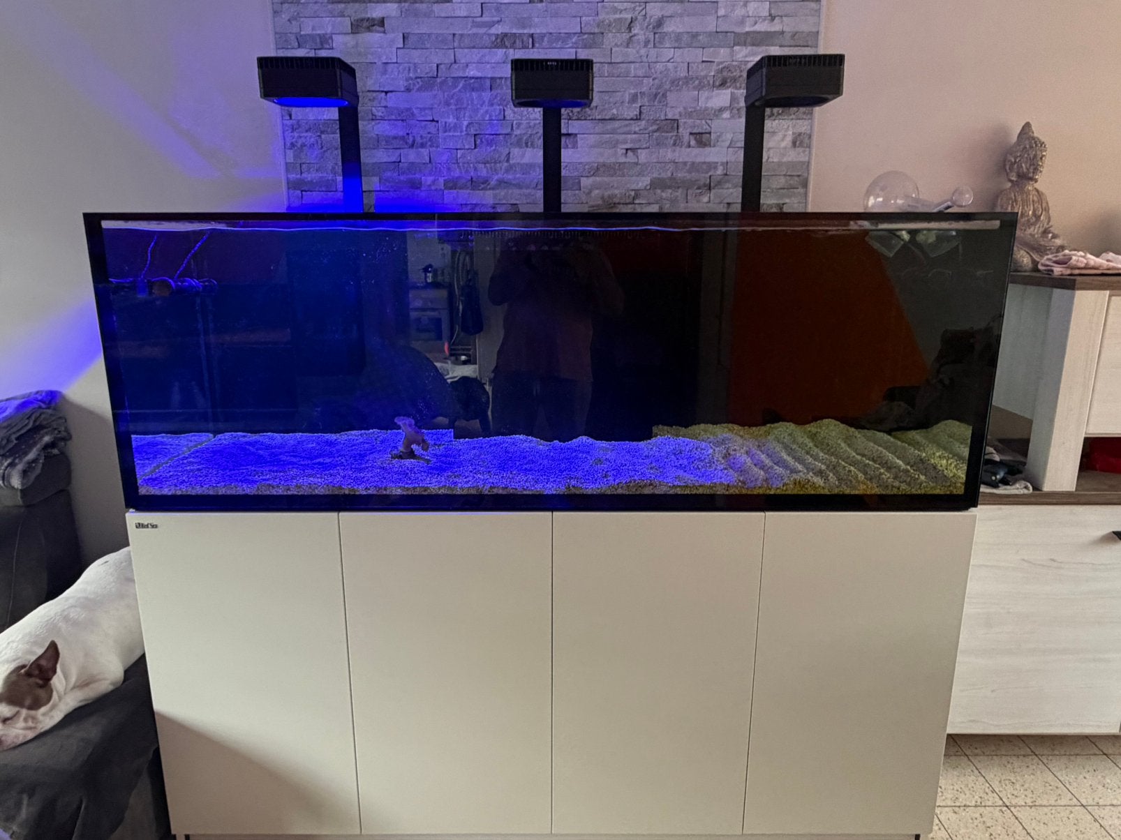 REEFER MAX 750 GE BLANC, Animaux & Accessoires, Reptiles & Amphibiens | Accessoires, Enlèvement, Comme neuf