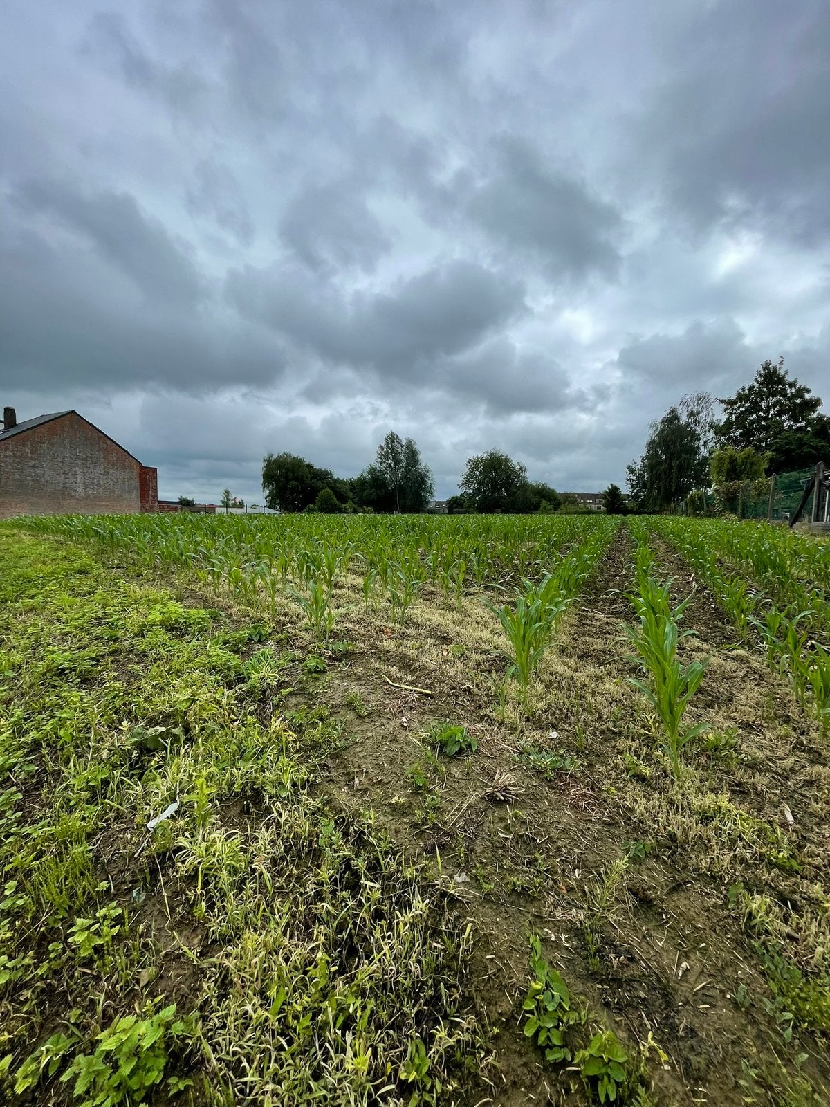 Bouwgrond Ninove voor HOB 1500m2, Immo, Terrains & Terrains à bâtir, 1500 m² ou plus