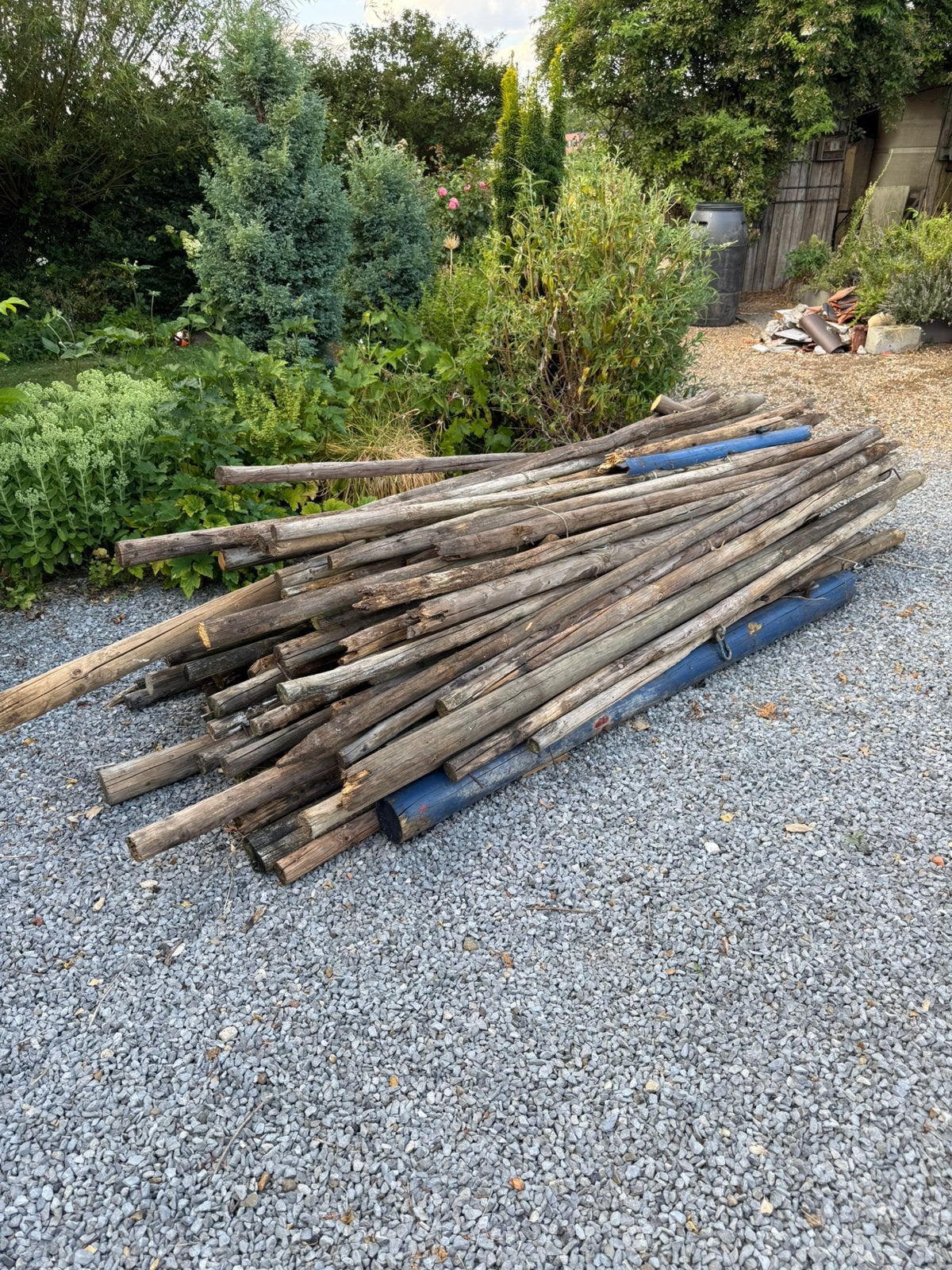 Gratis Lot oude weidepalen / brandhout, Tuin en Terras, Brandhout, 3 tot 6 m³, Ophalen, Overige houtsoorten, Stammen