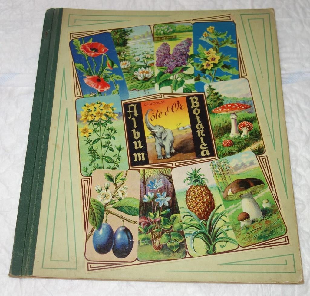 Prentenboek Cote D'or Botanica album., Boeken, Ophalen of Verzenden, Gelezen, Cote d'or, Prentenboek