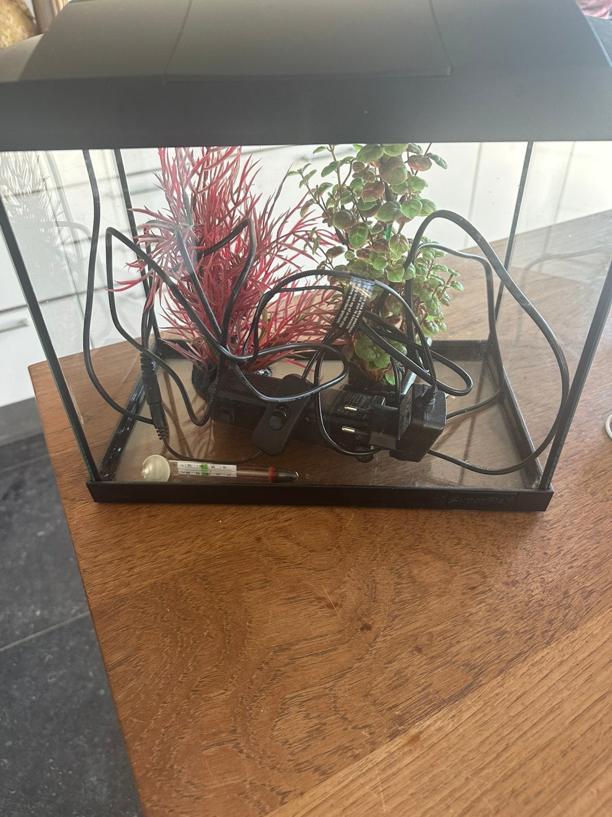 Aquarium met nepplanten, pomp, licht en temperatuurmeter, Ophalen, Pomp, Zo goed als nieuw