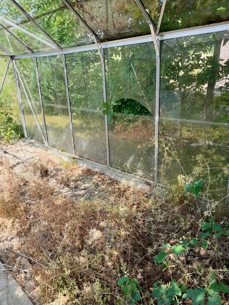Réparation de serre en alu, Ophalen, Kweekkas, Zo goed als nieuw, Glas