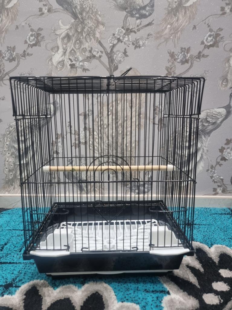 Cage oiseaux, Animaux & Accessoires