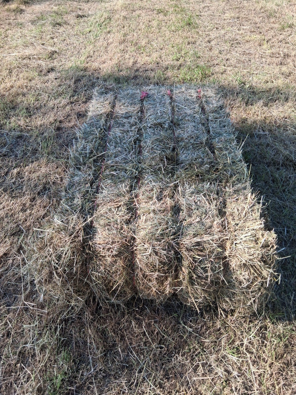 Pakken hooi, Dieren en Toebehoren, Stalling, 4 paarden of pony's of meer