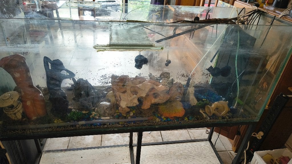 aquarium 40x60x150 cm, Animaux & Accessoires, Poissons | Aquariums & Accessoires, Aquarium vide, Enlèvement, Utilisé, Tuyaux inclus