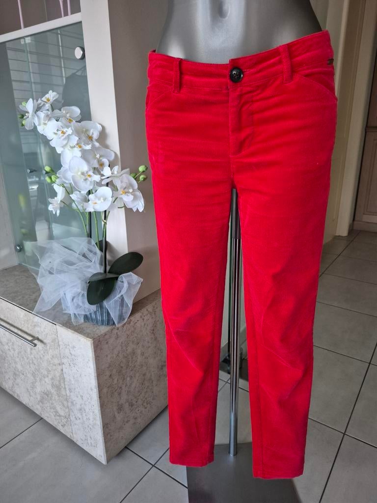 MC GREGOR damesbroek, Kleding | Dames, Ophalen of Verzenden, Maat 36 (S)