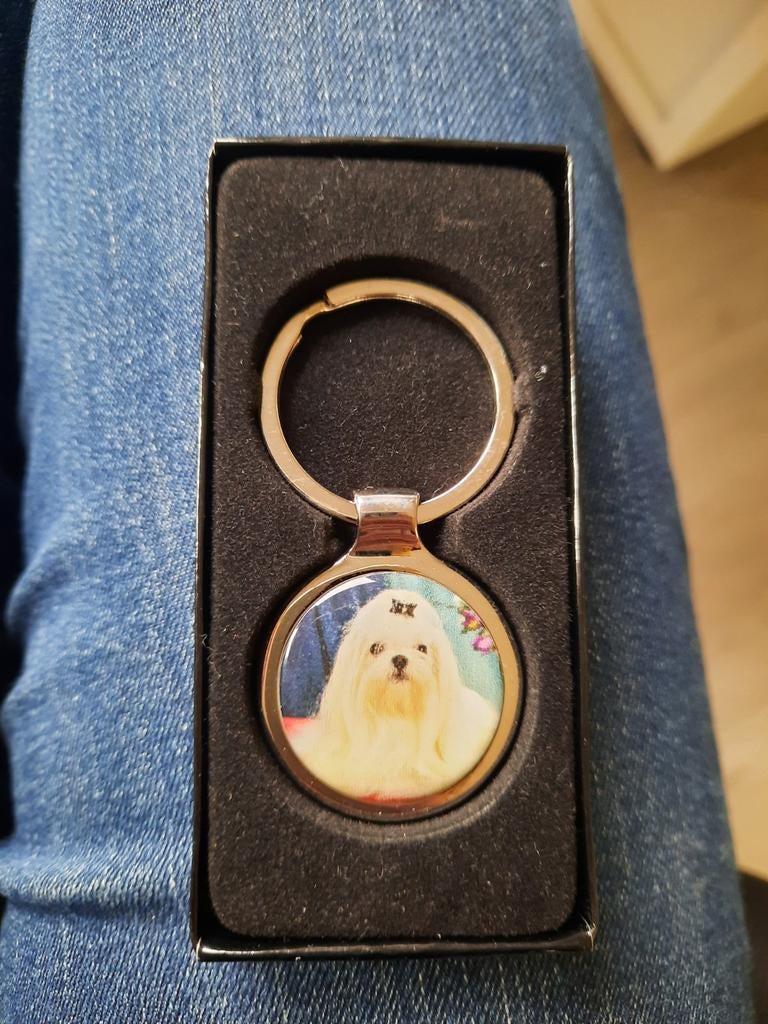 Sleutelhanger Maltezer hond, Verzamelen, Ophalen of Verzenden