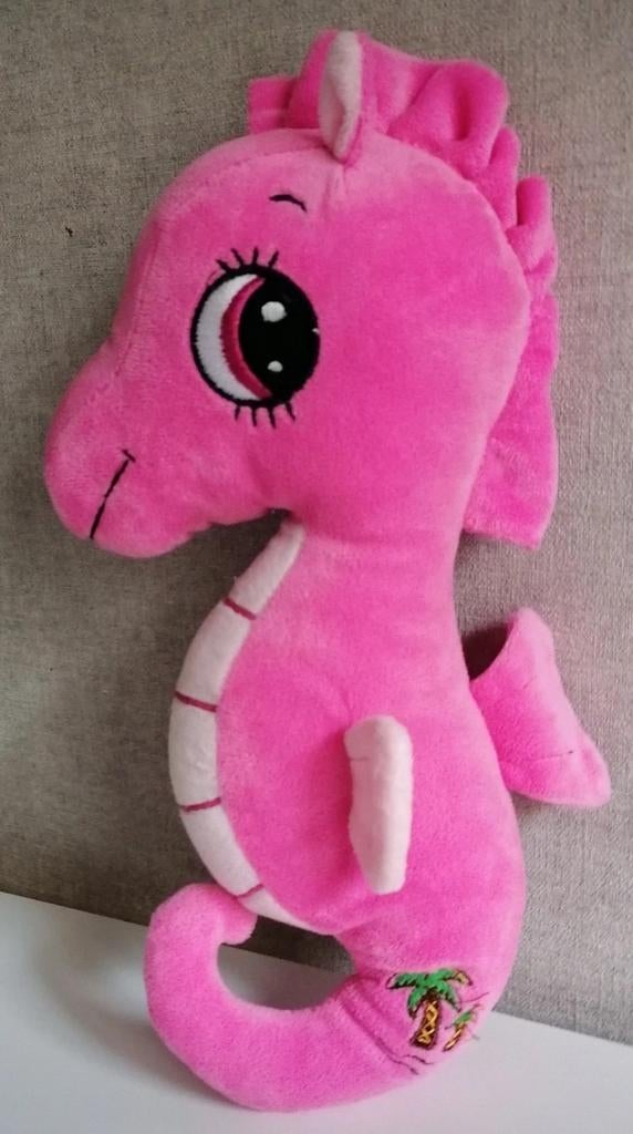 Joli hippocampe, Enlèvement ou Envoi