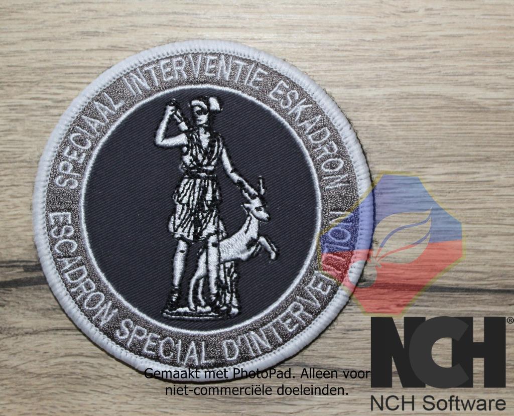 BADGE ESI DU SITE DE GENDARMERIE + PRÉSENTOIR, Collections, Envoi, Gendarmerie, Emblème ou Badge