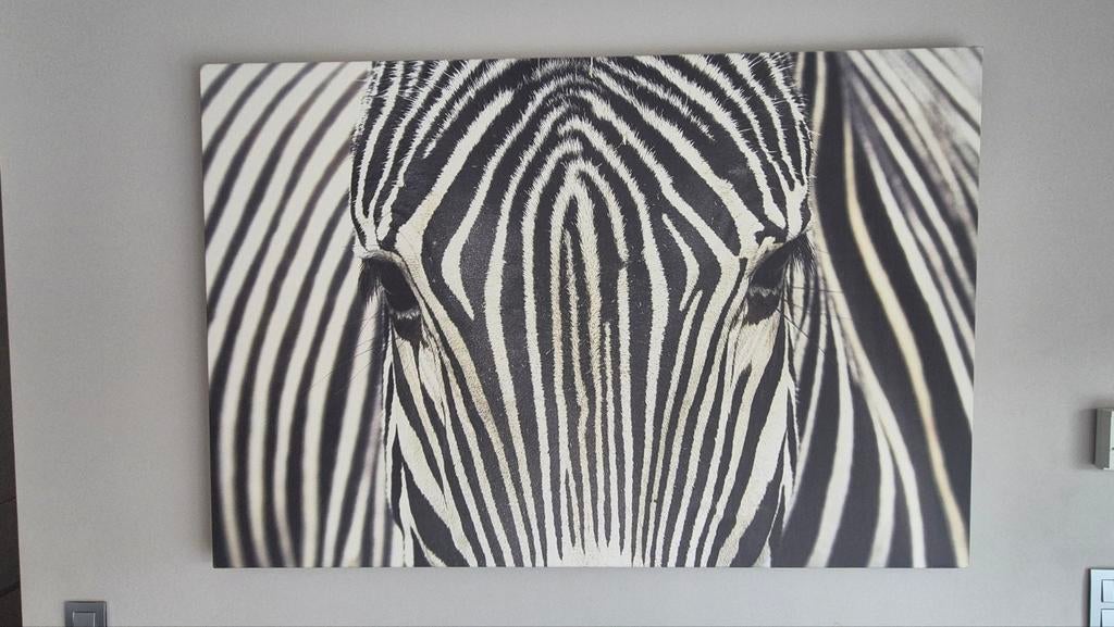 Zebra op canvas, Enlèvement