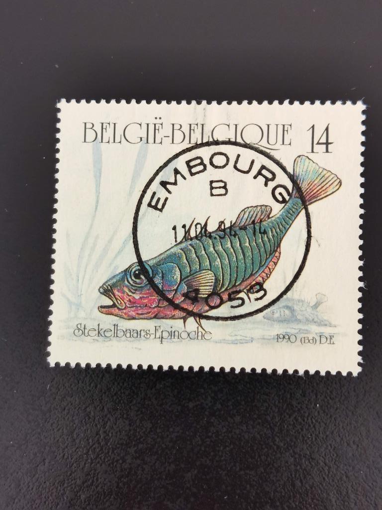 Belgique 1990 - pêche - épinoche - timbre du carnet, Enlèvement ou Envoi, Affranchi