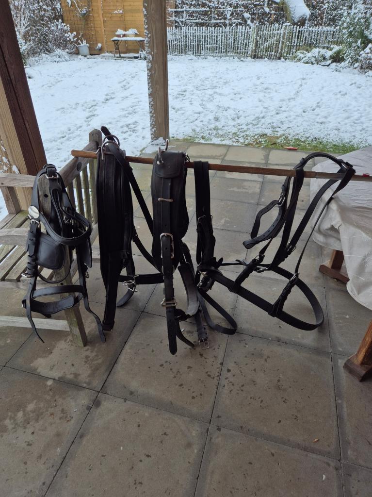 trekpaarden tuig, Dieren en Toebehoren, Paarden en Pony's | Hoofdstellen en Tuigage, Ophalen, Gebruikt, Recreatie