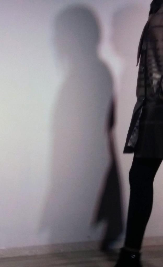 Silhouetten in beweging, Verzenden