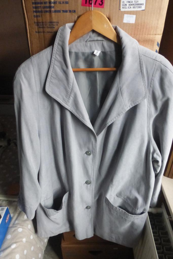 jas dames licht grijs grote maat, Ophalen of Verzenden, Zo goed als nieuw, Maat 46/48 (XL) of groter, Grijs