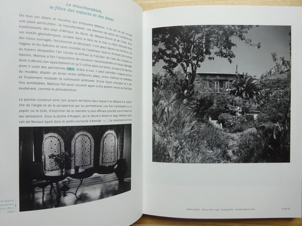 Henri Matisse, Nice, le rêve des odalisques, 2014, Ophalen of Verzenden, Zo goed als nieuw, Schilder- en Tekenkunst