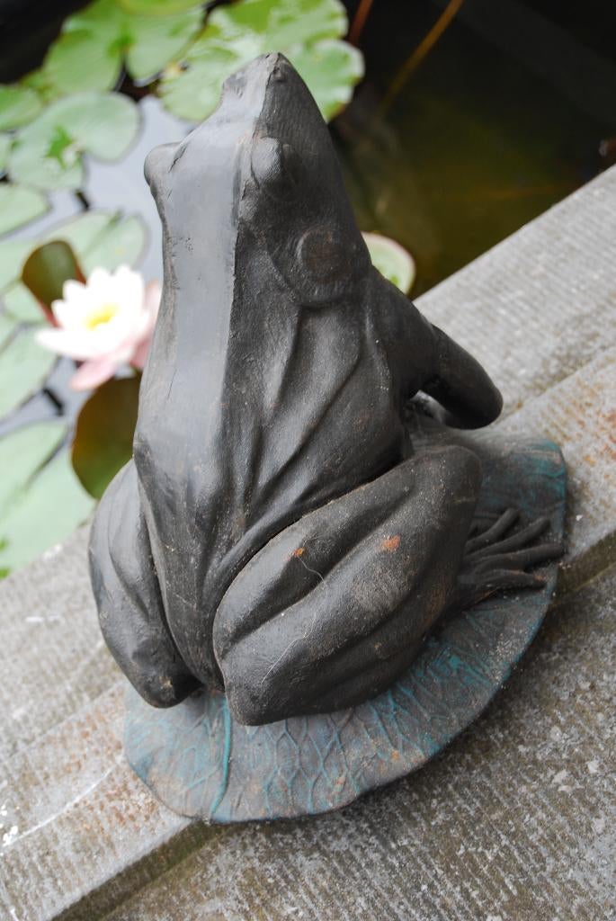 GIETIJZEREN KIKKER MET PATINA OP WATERLELIEBLAD., Ophalen of Verzenden, Nieuw, Overige materialen, Dierenbeeld