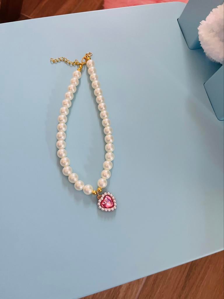 Collier chien neuf L, Enlèvement