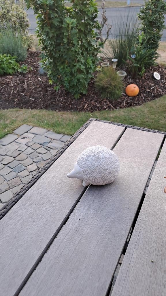 Egeltje in beton
