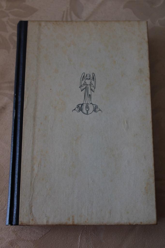 Dr. A. Stubbe - Van Eyck en de gothiek (oud boek), Boeken, Gelezen, Schilder- en Tekenkunst, Dr. A. Stubbe, Ophalen of Verzenden