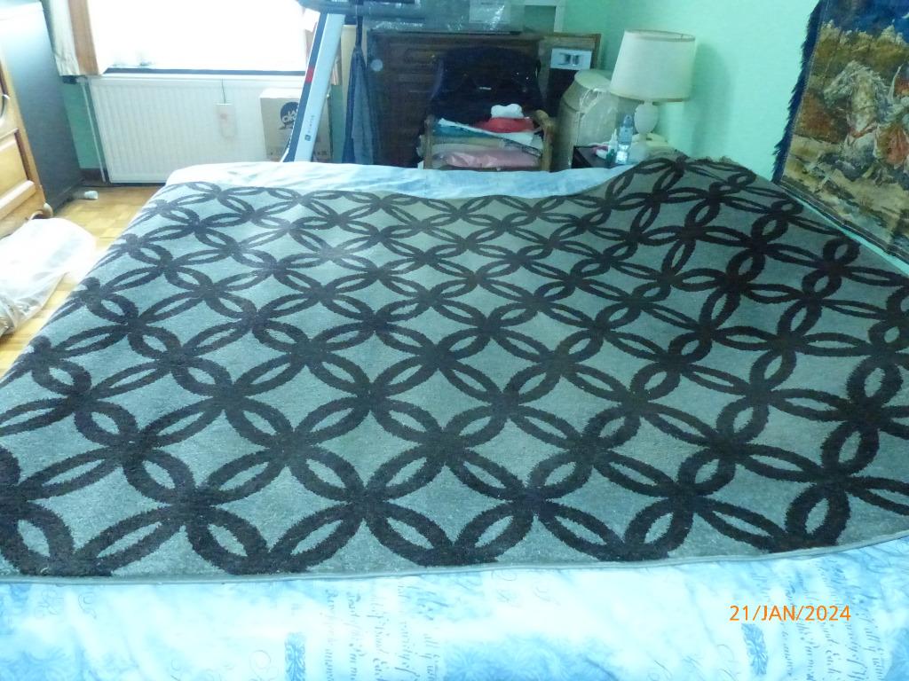 tapis moderne, Maison & Meubles, Ameublement | Tapis & Moquettes, Gris, 200 cm ou plus, 150 à 200 cm, Enlèvement