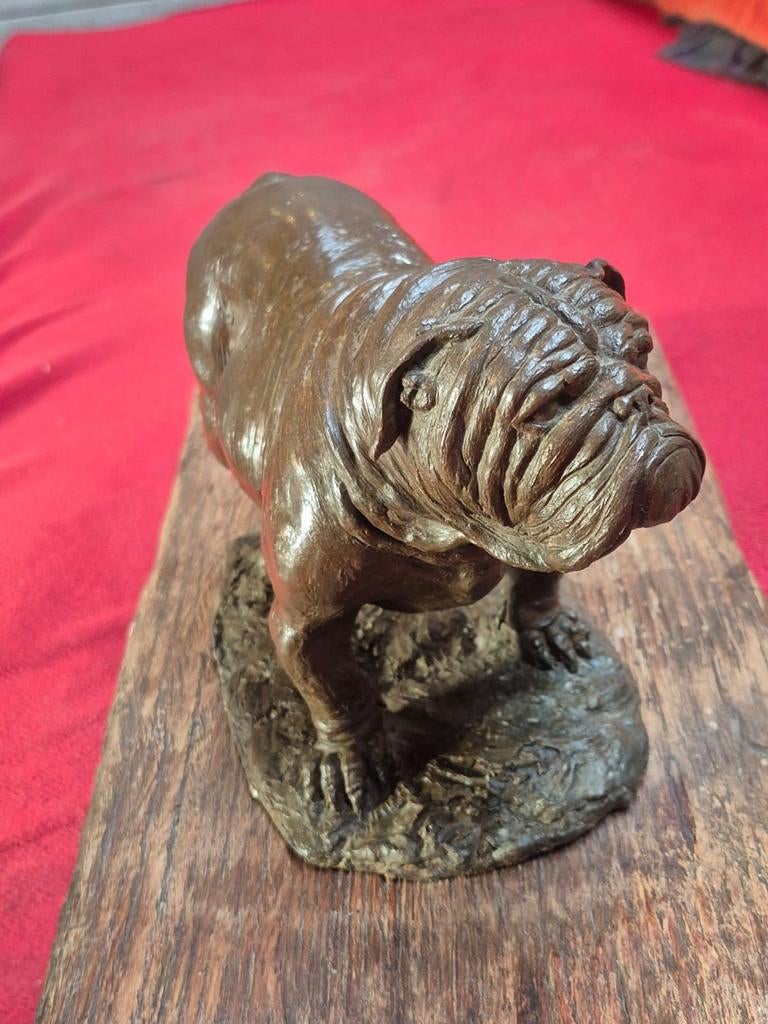 Bronzen bulldoghond met dieren, ongeveer 10 kg, Ophalen