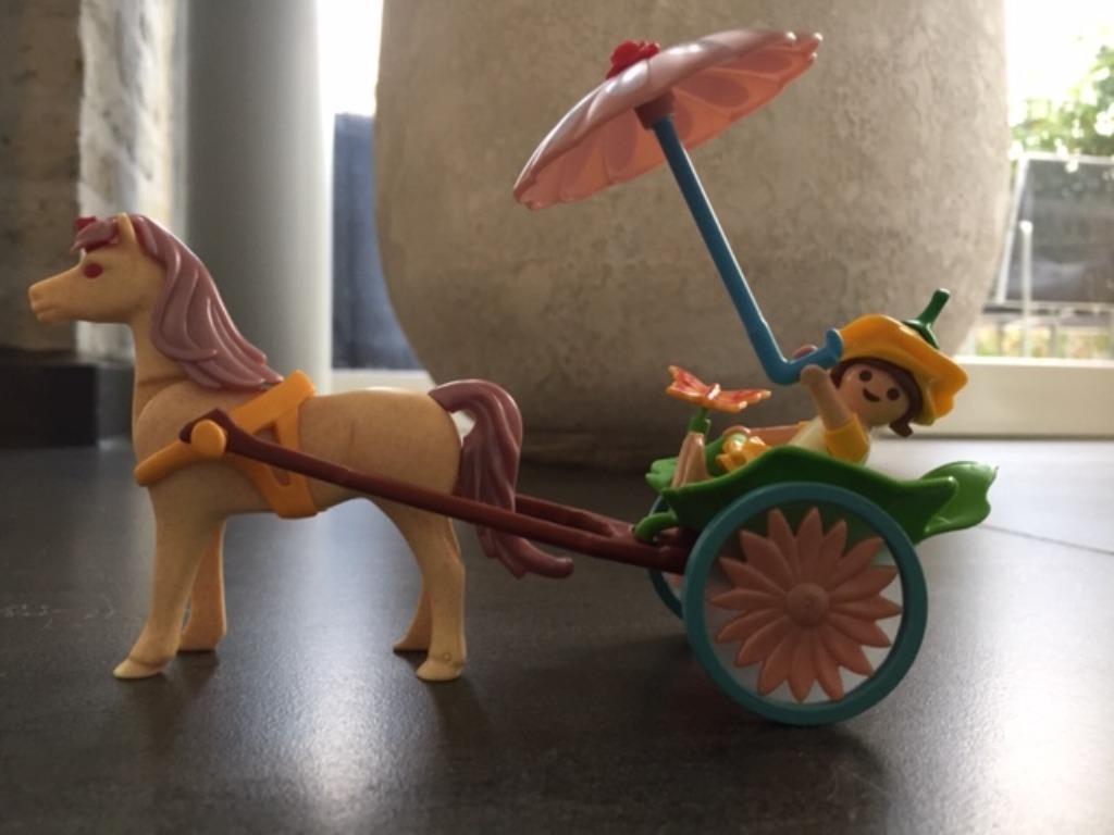 Playmobil eelfje met eenhoornkoets (4934), Ophalen of Verzenden, Zo goed als nieuw