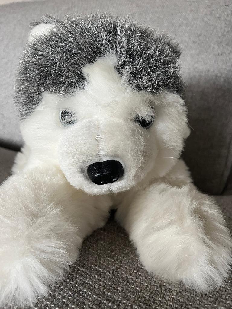 Knuffel/pluche husky, Ophalen of Verzenden, Zo goed als nieuw, Hond