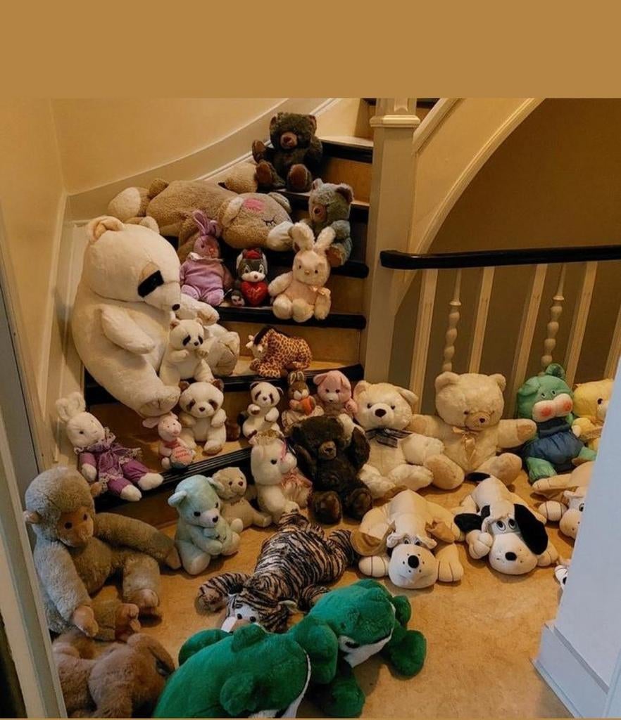 Divers peluches des grandes des moyennes pour tout, Ophalen