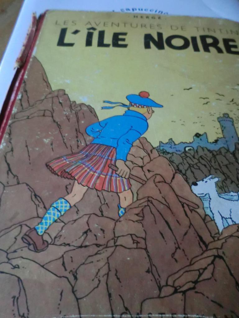 L'Île Noire, Enlèvement ou Envoi, Utilisé
