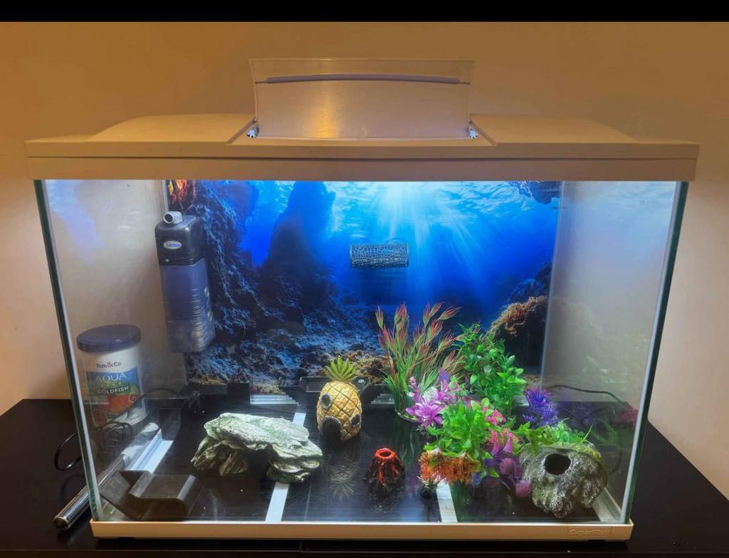 Aquarium en meubilair van 100 liter, Ophalen, Zo goed als nieuw